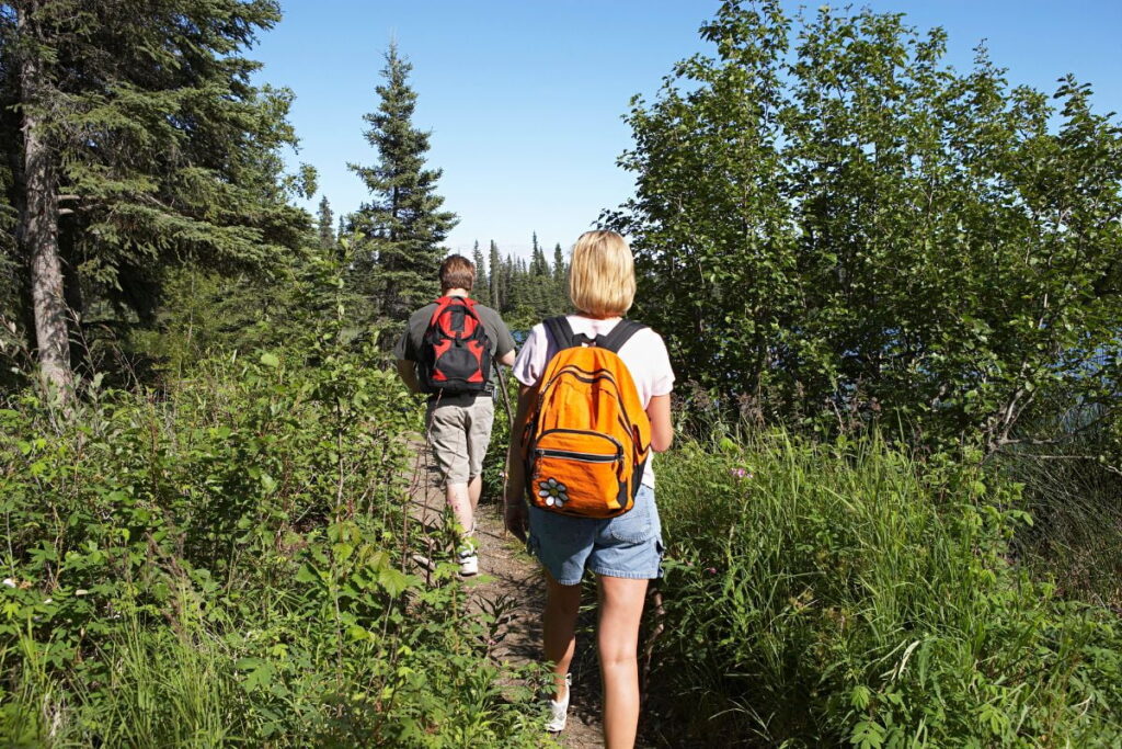 자연과 함께 걷는 시간이 마음에 주는 안정감