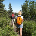 자연과 함께 걷는 시간이 마음에 주는 안정감